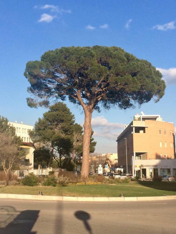 Residence Al Pino Матера Екстер'єр фото